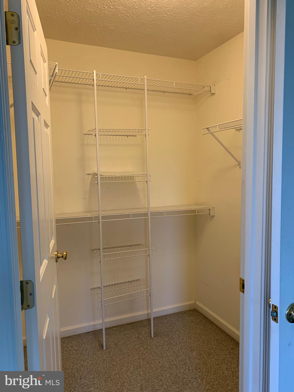 905 Blueleaf Court, Unit 7 3C Frederick, MD 21701 - Photo 18 of 24 Master Bedroom Walk in closet