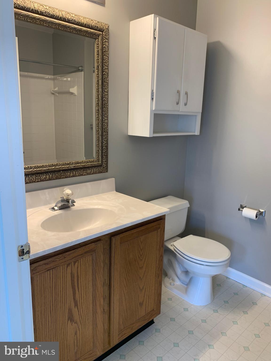905 Blueleaf Court, Unit 7 3C Frederick, MD 21701 - Photo 19 of 24 Master Bathroom