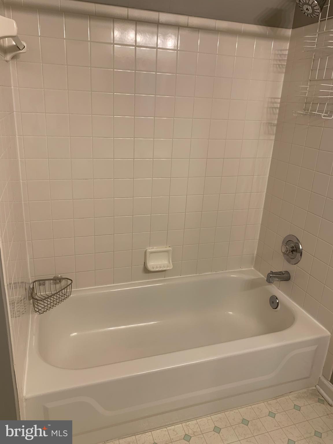 905 Blueleaf Court, Unit 7 3C Frederick, MD 21701 - Photo 20 of 24 Master Bathroom