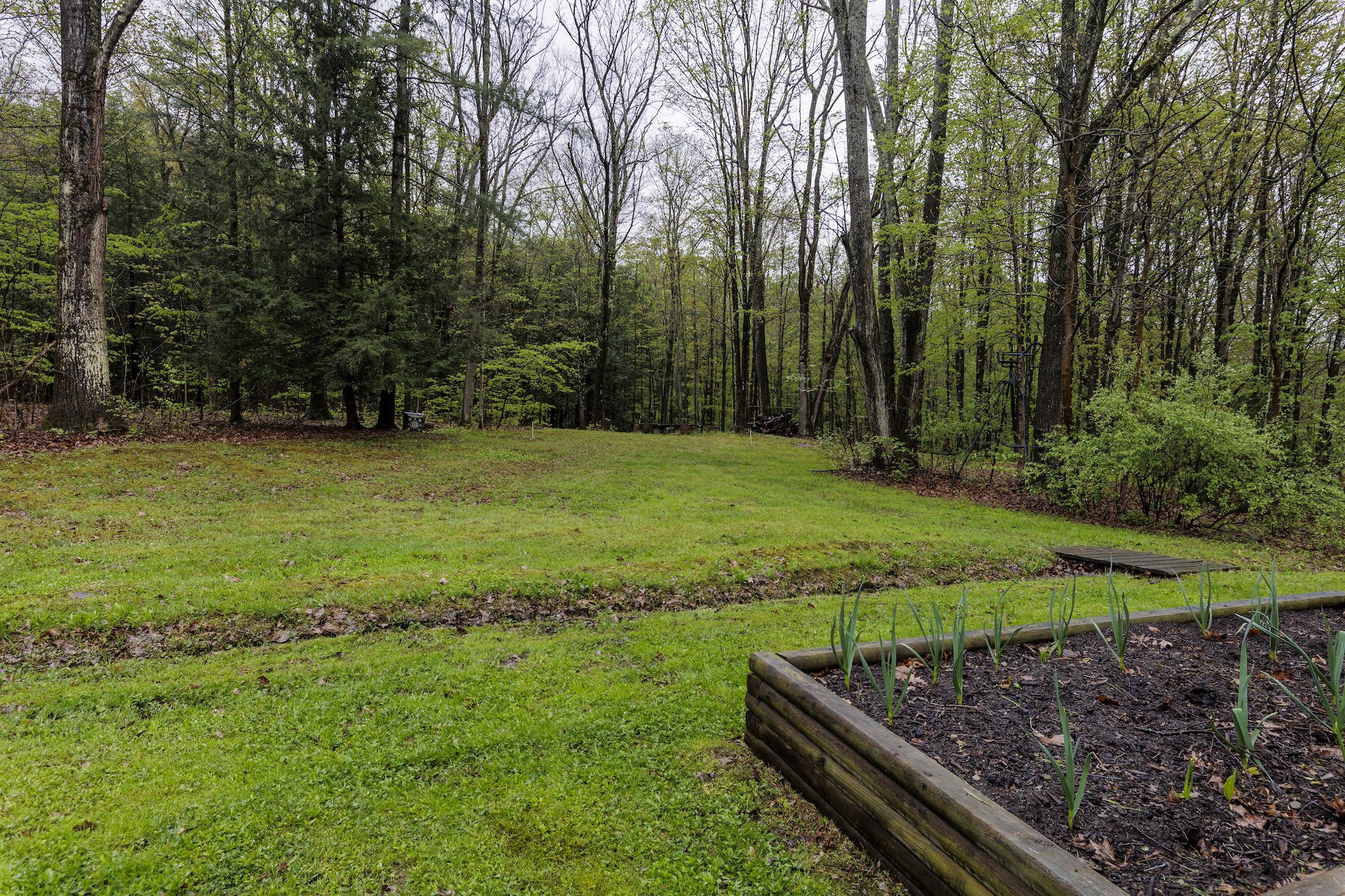 261 Depot Hill Road Port Crane, NY 13833 - Photo 17 of 21