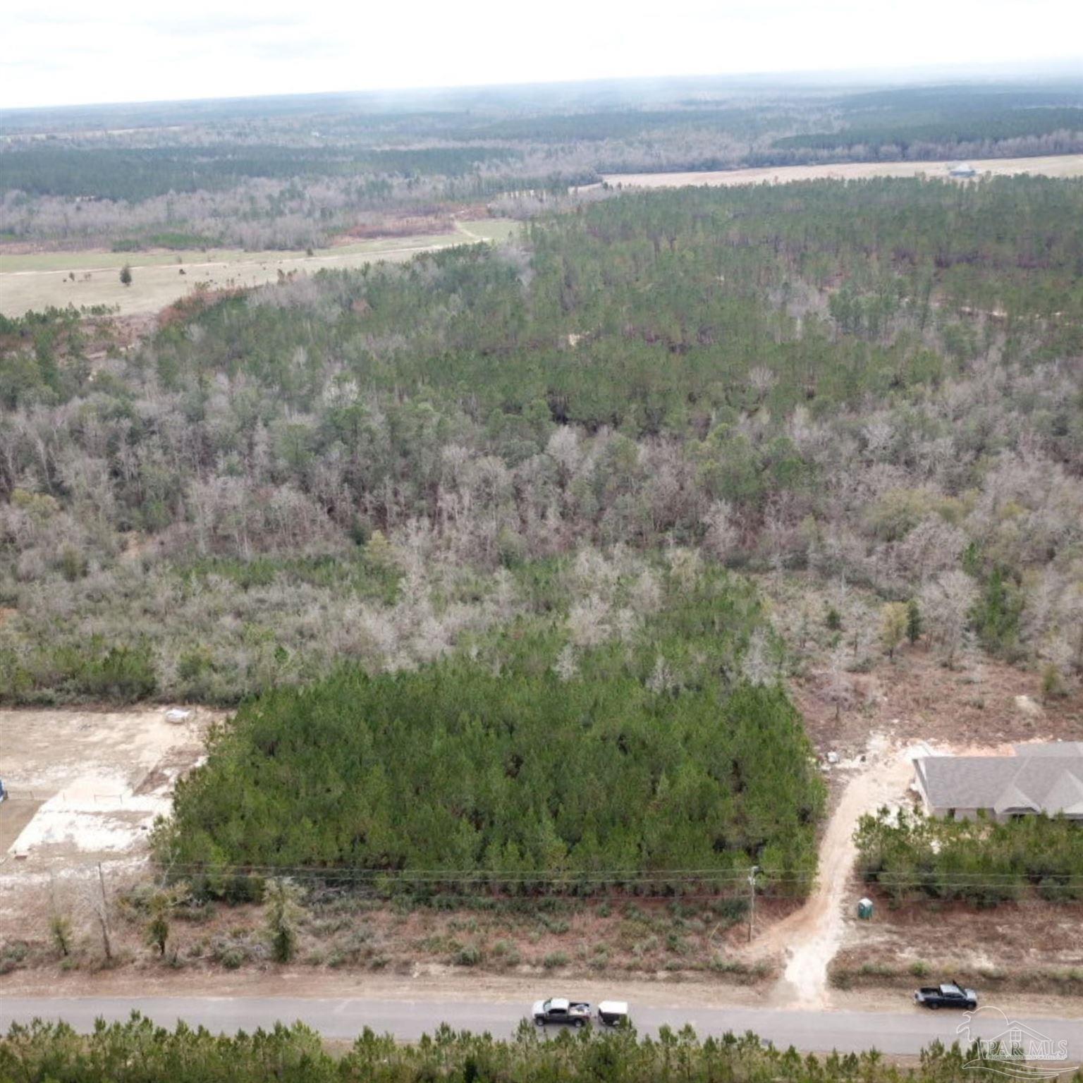Lot 19 Mineral Springs Road Jay, FL 32565 - Photo 3 of 3