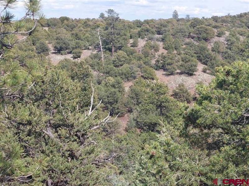 256 Sunrise Road South Fork, CO 81154 - Photo 3 of 6