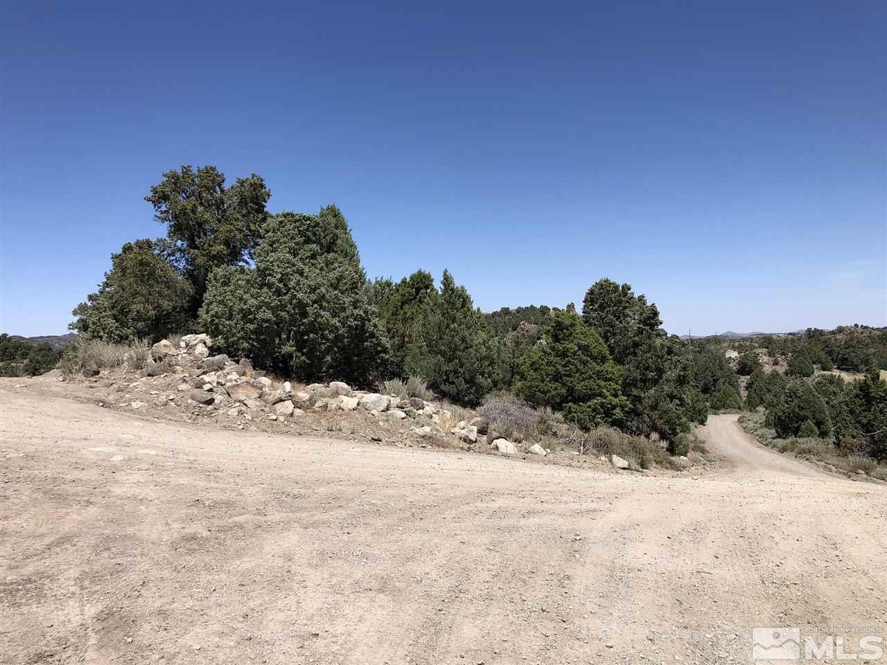 1545 Prospect Road Reno, NV 89521 - Photo 3 of 9 a view of a mountain view of a snow