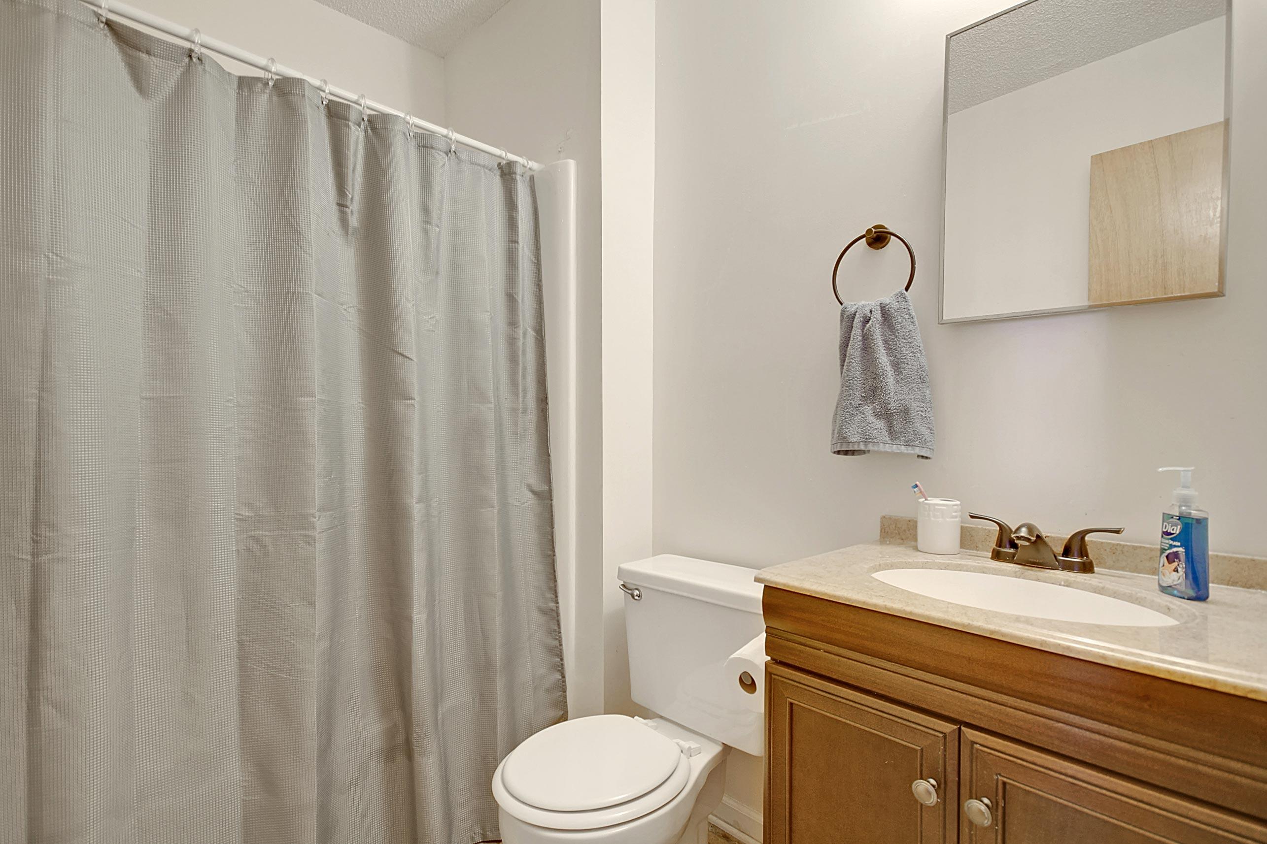 235 Pineshadow Drive Goose Creek, SC 29445 - Photo 13 of 19 CREM_235 Pineshadow_015