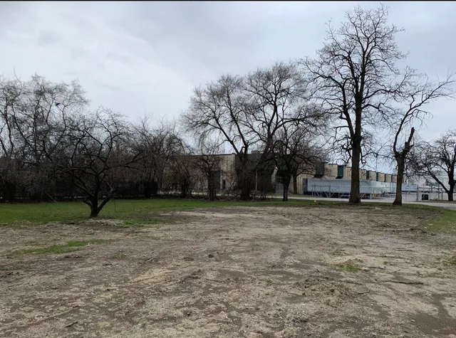 a fire hydrant in middle of a field