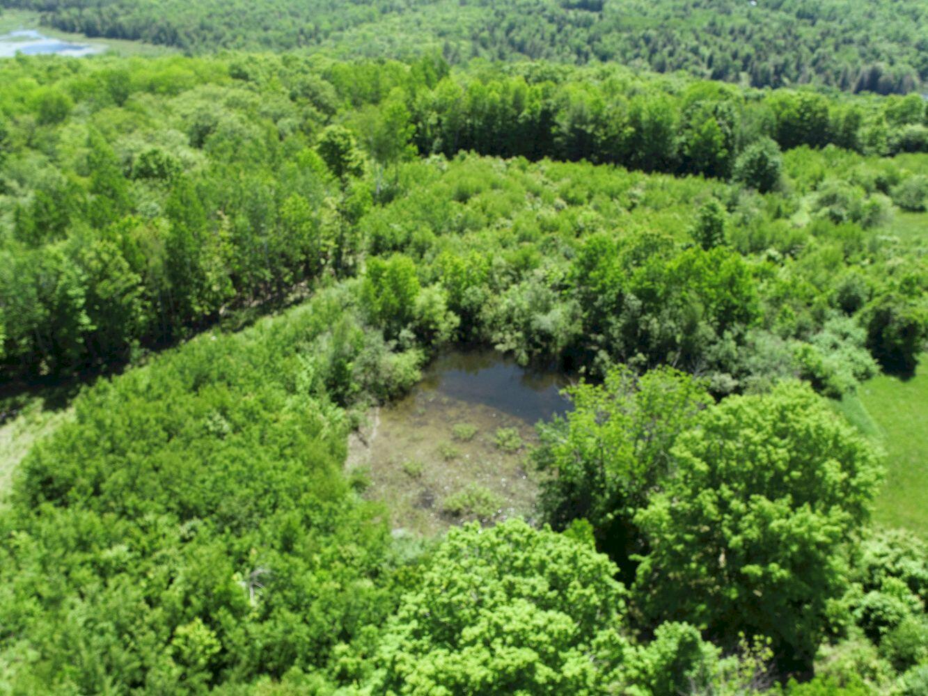 182 Sterry Hill Road Starks, ME 04911 - Photo 65 of 115 DJI_0036