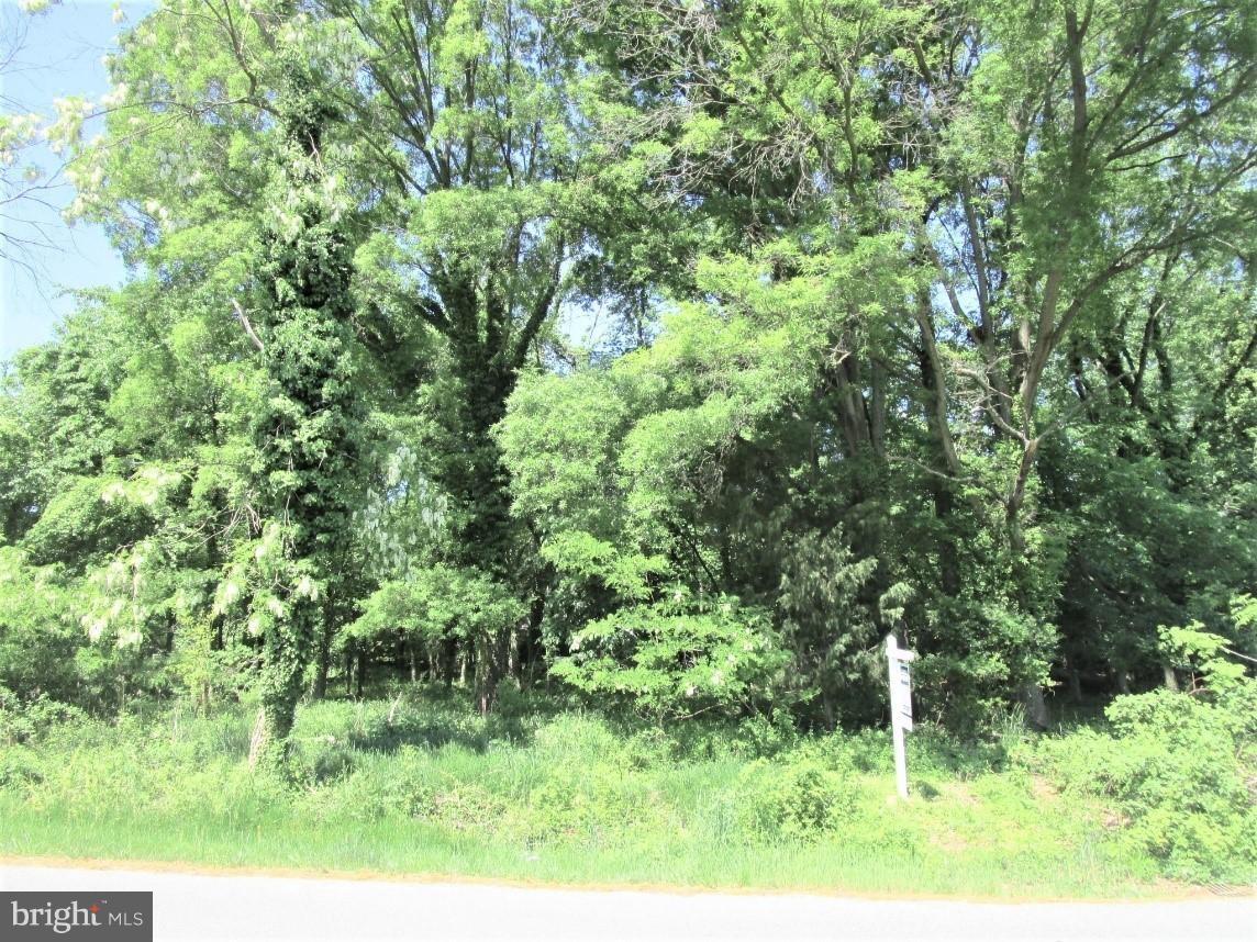 12321 Riverview Road Fort Washington, MD 20744 - Photo 1 of 1 Exterior (Front)