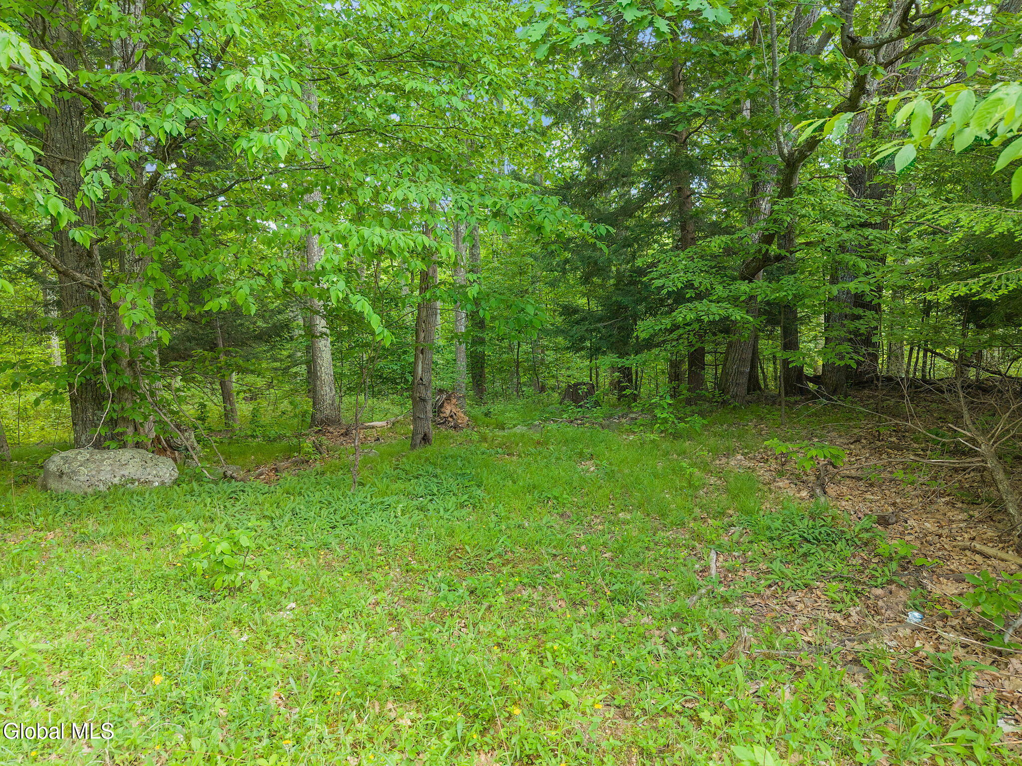 368 Brand Road Gilboa, NY 12076 - Photo 62 of 76 72-368BrandRd_34 (2)