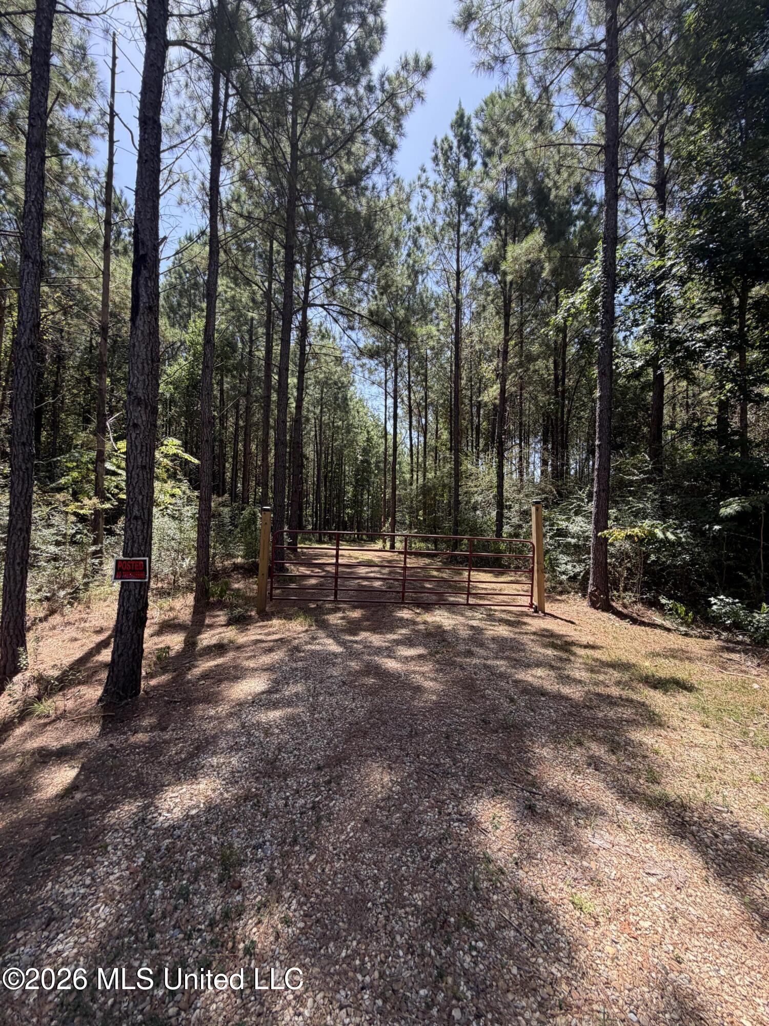 111 Progress Trail Sumrall, MS 39482 - Photo 5 of 9 IMG_6556