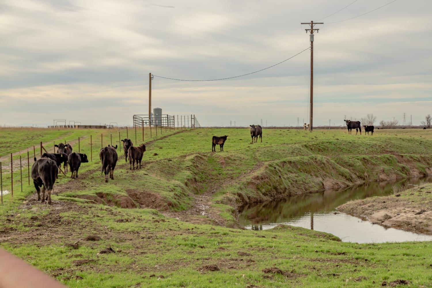 11529 Arno Road Galt, CA 95632 - Photo 11 of 23 a view of a park with lots of space and ocean view