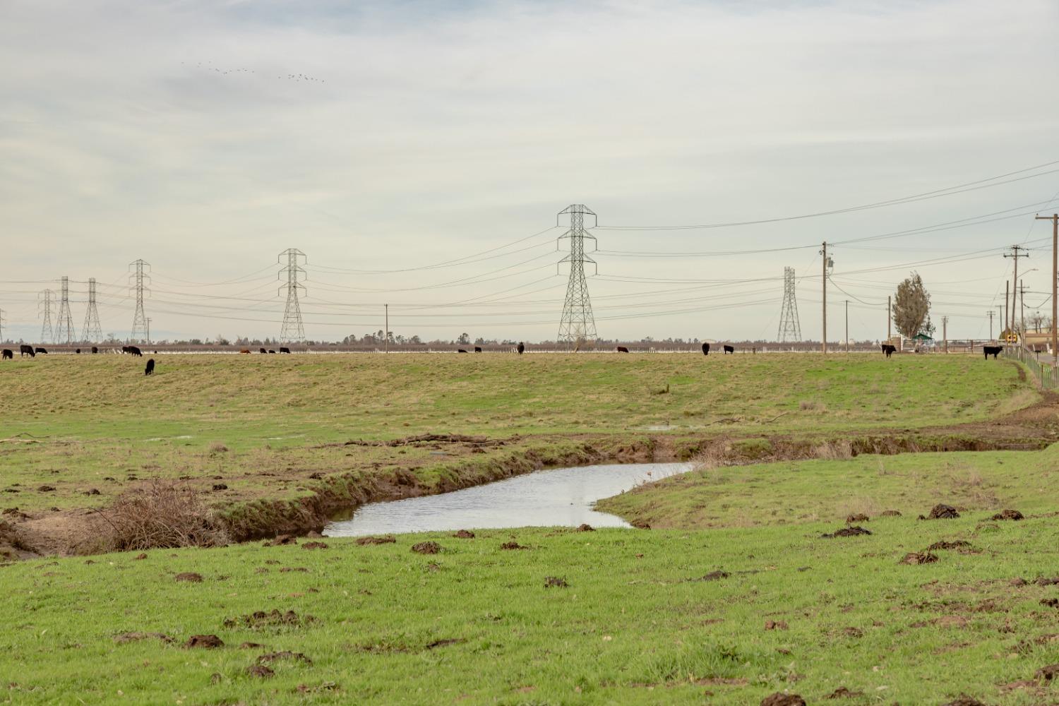 11529 Arno Road Galt, CA 95632 - Photo 12 of 23