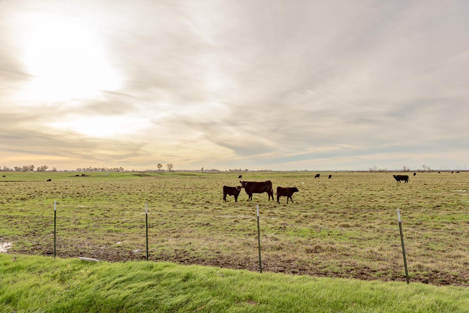 11529 Arno Road Galt, CA 95632 - Photo 15 of 23 a view of a lake from a yard