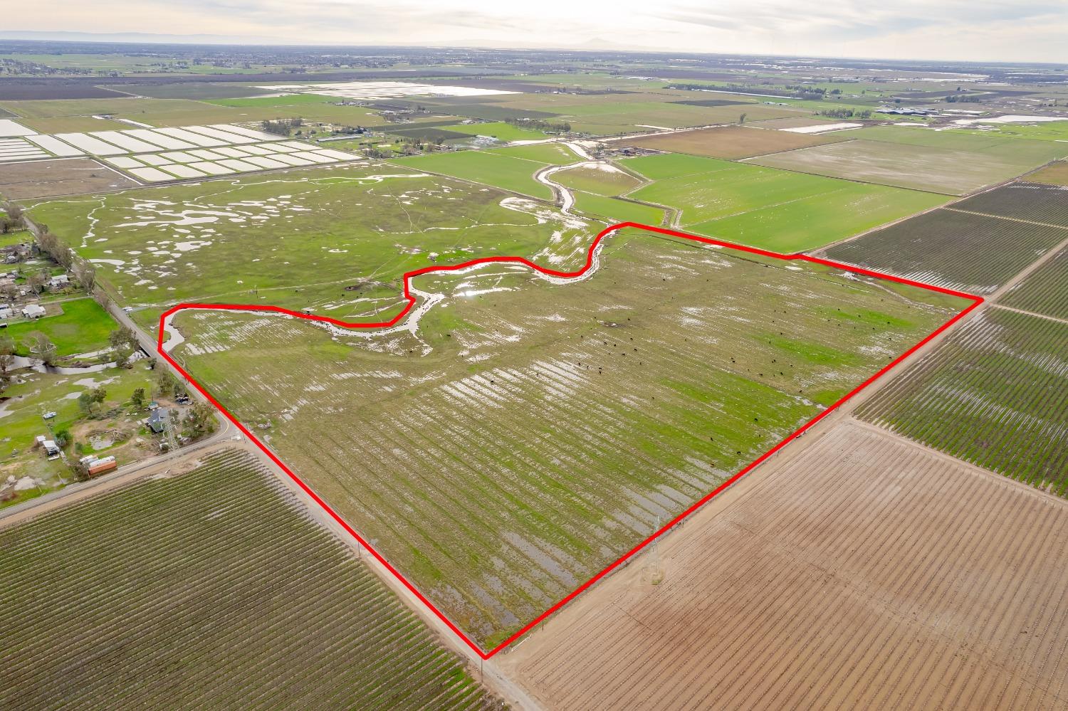 11529 Arno Road Galt, CA 95632 - Photo 2 of 23 a view of swimming pool with an ocean view