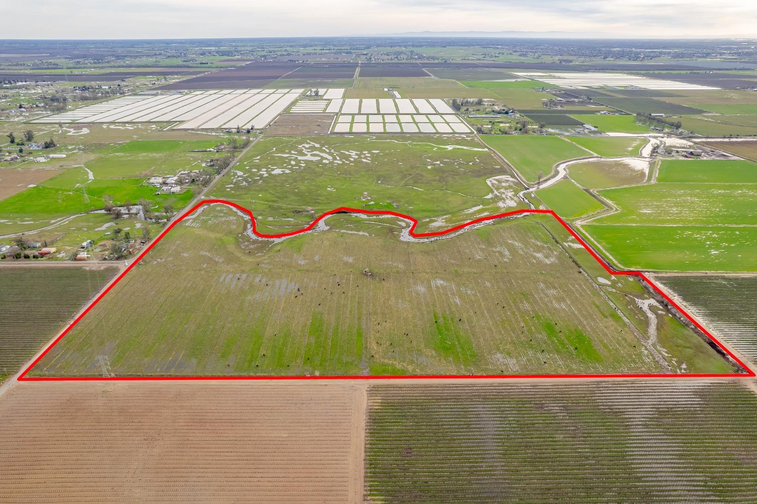 11529 Arno Road Galt, CA 95632 - Photo 3 of 23 a view of a swimming pool