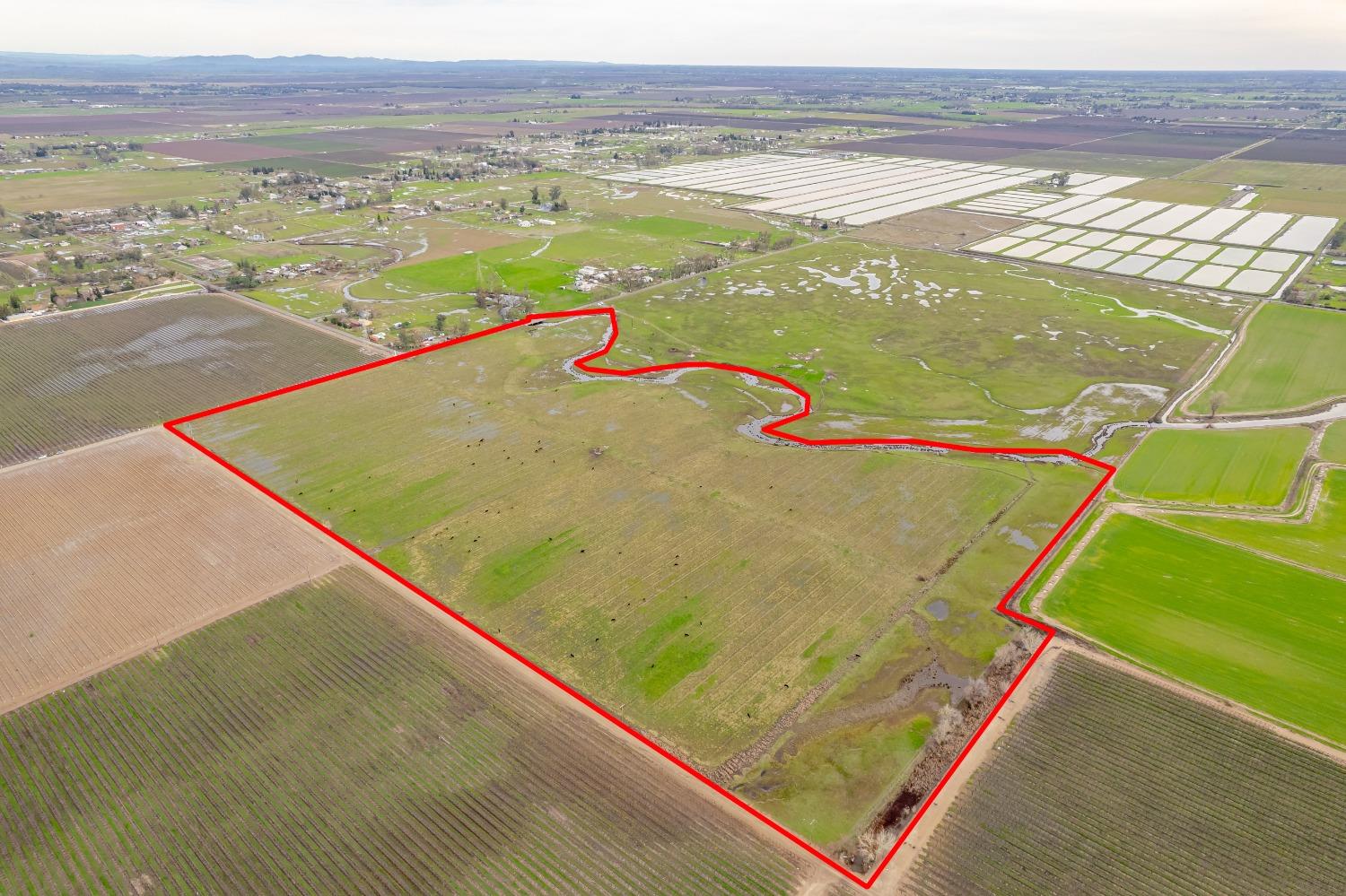 11529 Arno Road Galt, CA 95632 - Photo 4 of 23 a view of a pool