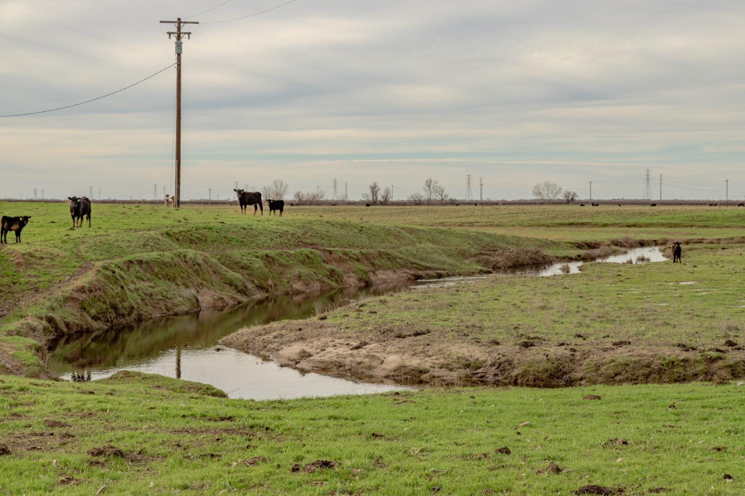 11529 Arno Road Galt, CA 95632 - Photo 10 of 23 a view of a garden with an ocean