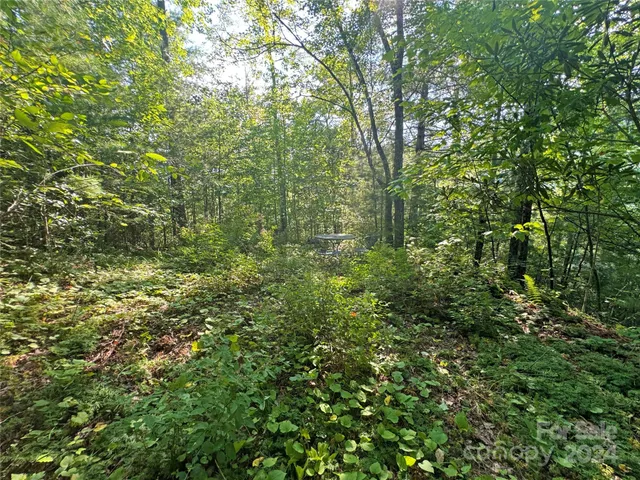 $17,500 | 98 Fireside Trail, Marshall, NC 28753