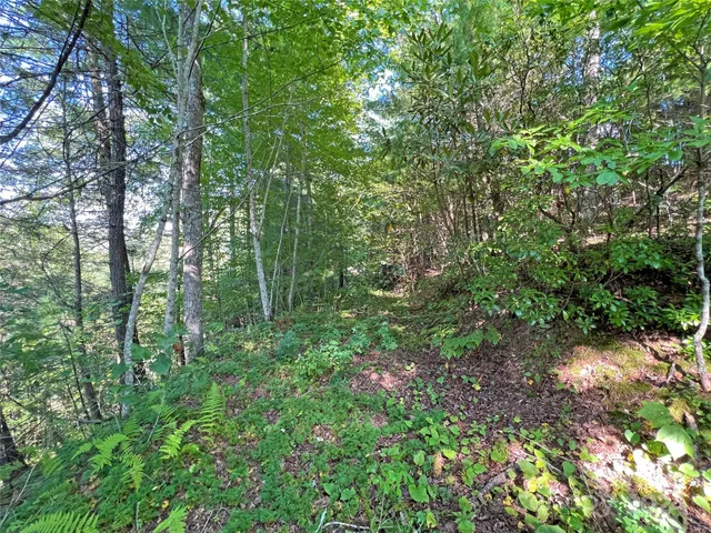 $17,500 | 98 Fireside Trail, Marshall, NC 28753