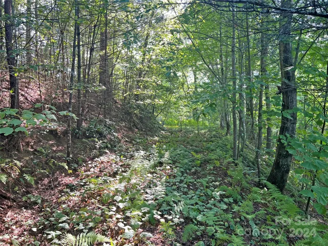 $17,500 | 98 Fireside Trail, Marshall, NC 28753