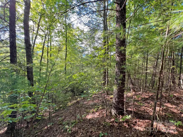 $17,500 | 98 Fireside Trail, Marshall, NC 28753