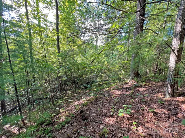 $17,500 | 98 Fireside Trail, Marshall, NC 28753