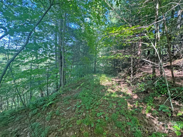 $17,500 | 98 Fireside Trail, Marshall, NC 28753