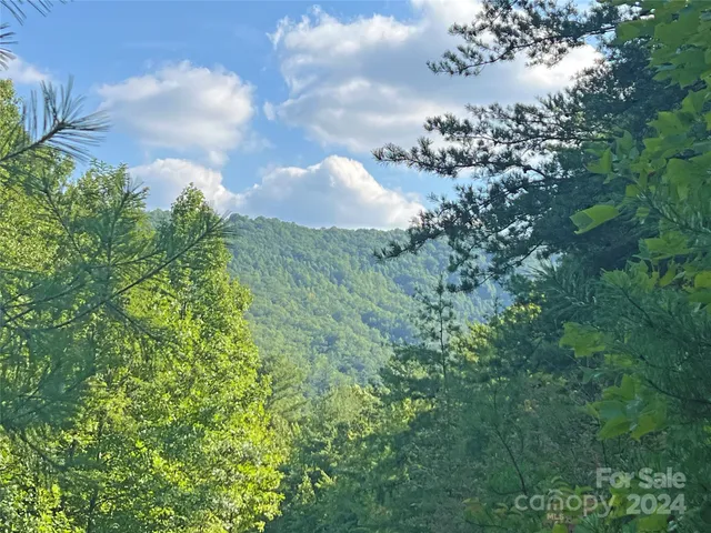 $17,500 | 98 Fireside Trail, Marshall, NC 28753