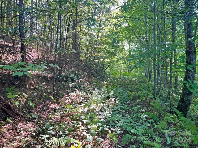 $17,500 | 98 Fireside Trail, Marshall, NC 28753