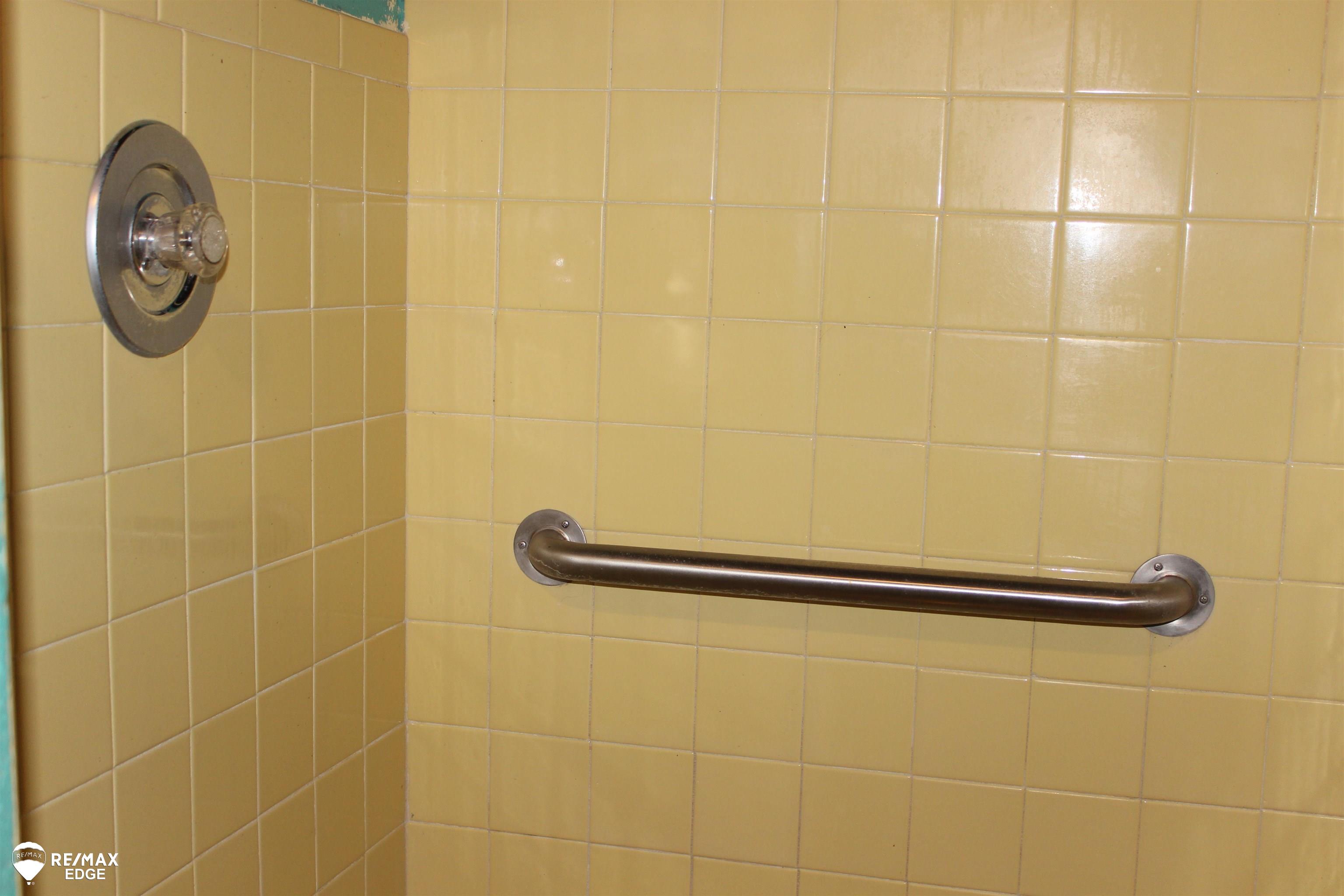 8047 North Seymour Road Flushing, MI 48433 - Photo 37 of 47 Basmt Shower