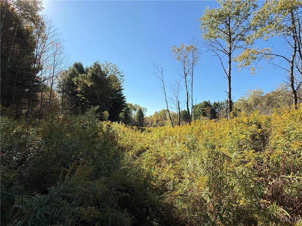 Shoemaker Road Van Etten, NY 14889 - Photo 5 of 13