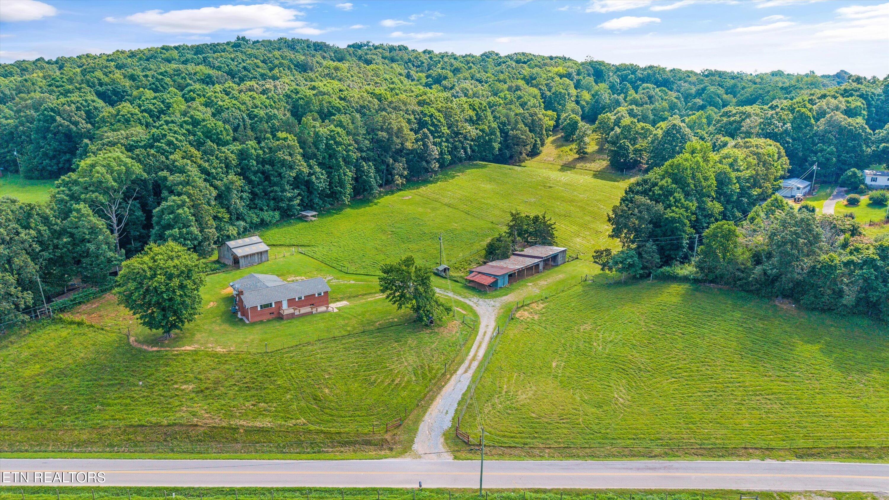 10812 Blue Springs Road Sweetwater, TN 37874 - Photo 4 of 45 35-10812 Blue Springs Rd34