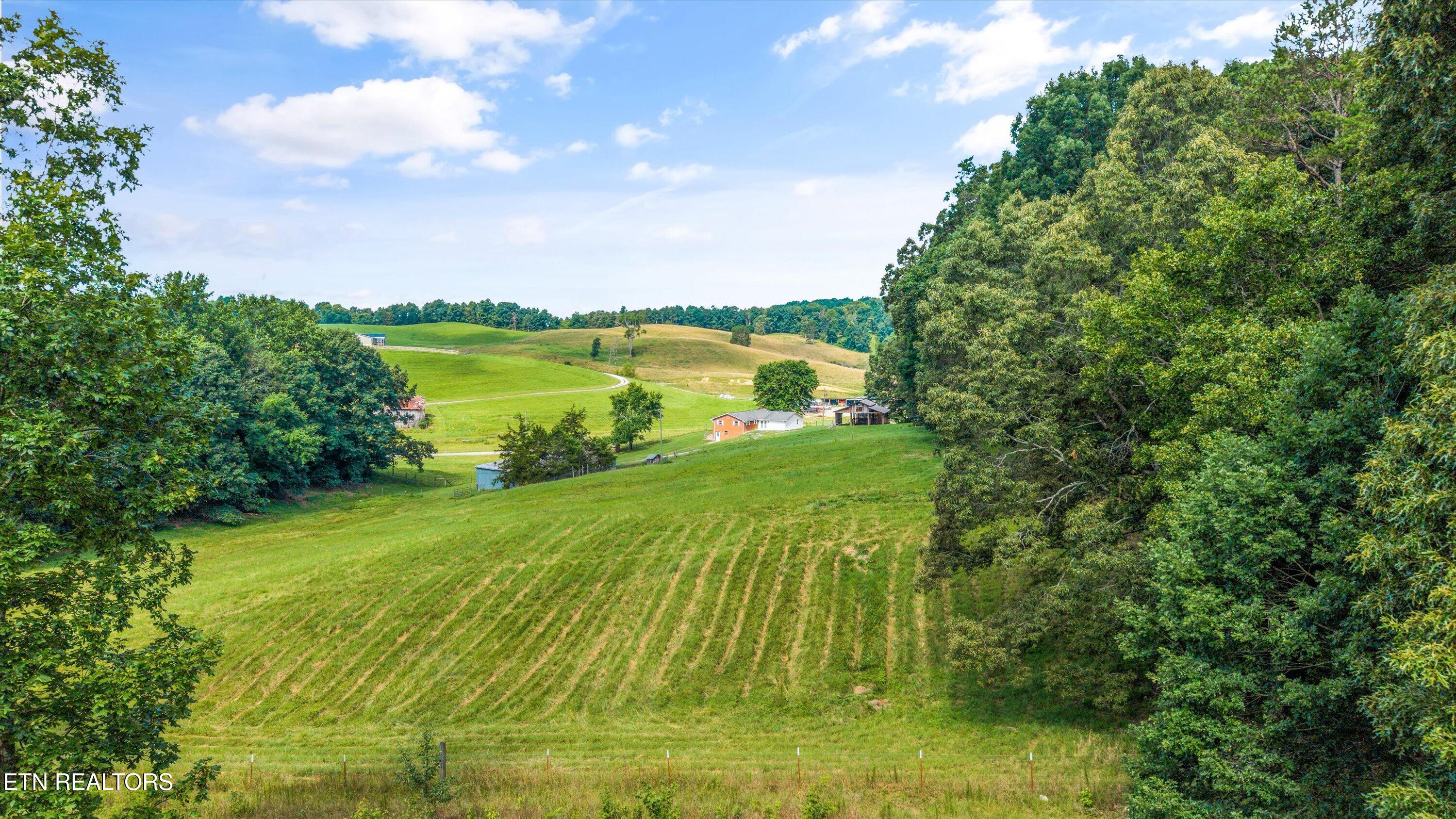10812 Blue Springs Road Sweetwater, TN 37874 - Photo 45 of 45 39-10812 Blue Springs Rd38