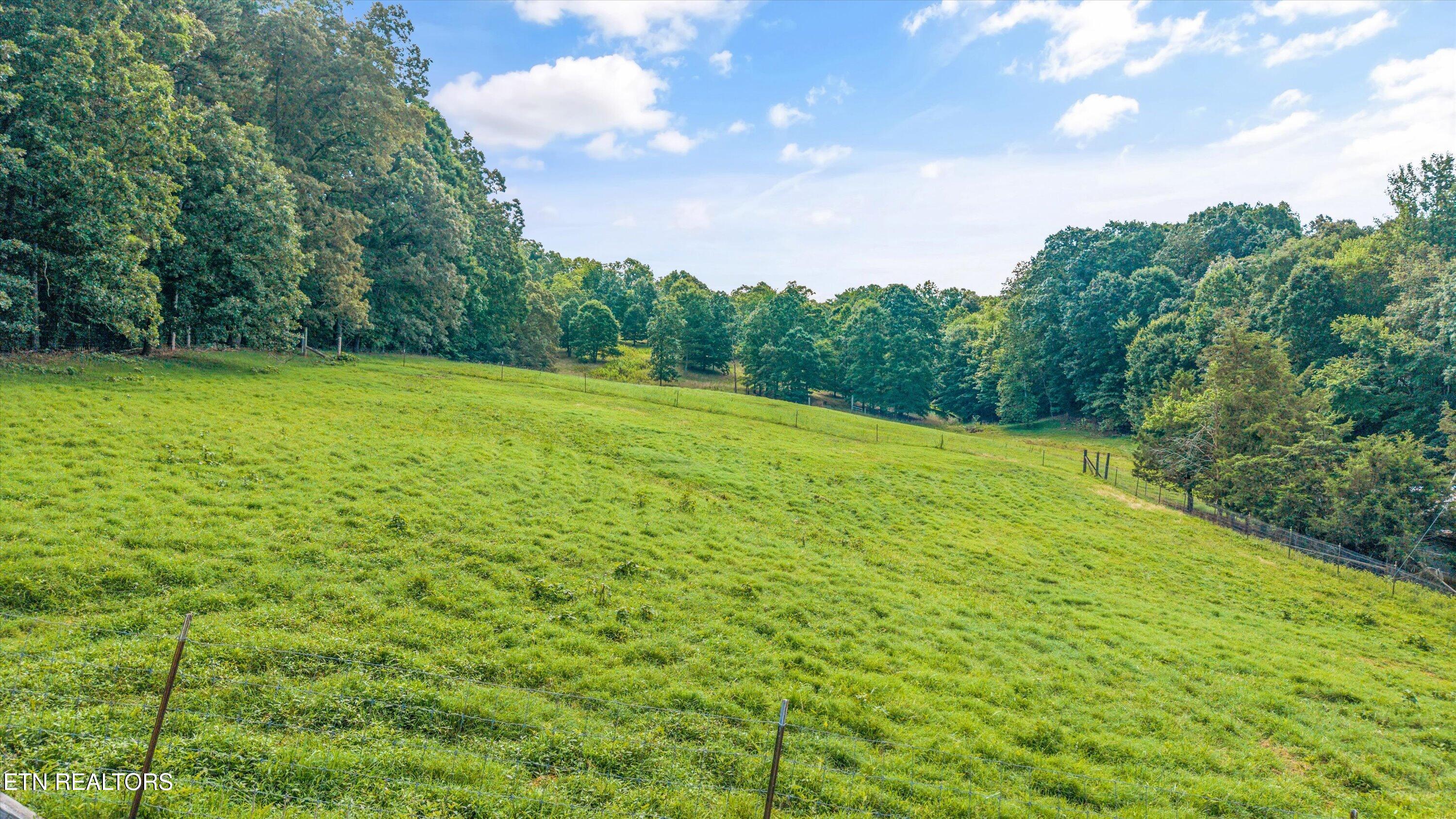10812 Blue Springs Road Sweetwater, TN 37874 - Photo 6 of 45 38-10812 Blue Springs Rd37