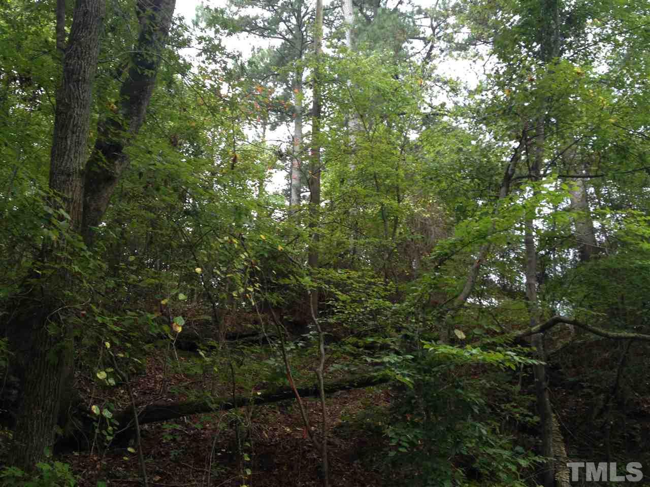 6 Old Stage Road South, Unit 6 Erwin, NC 28339 - Photo 1 of 3 Gallery Image 1