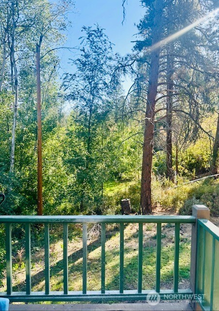 146 East Chewuch Road Winthrop, WA 98862 - Photo 38 of 39 a view of a forest from a balcony