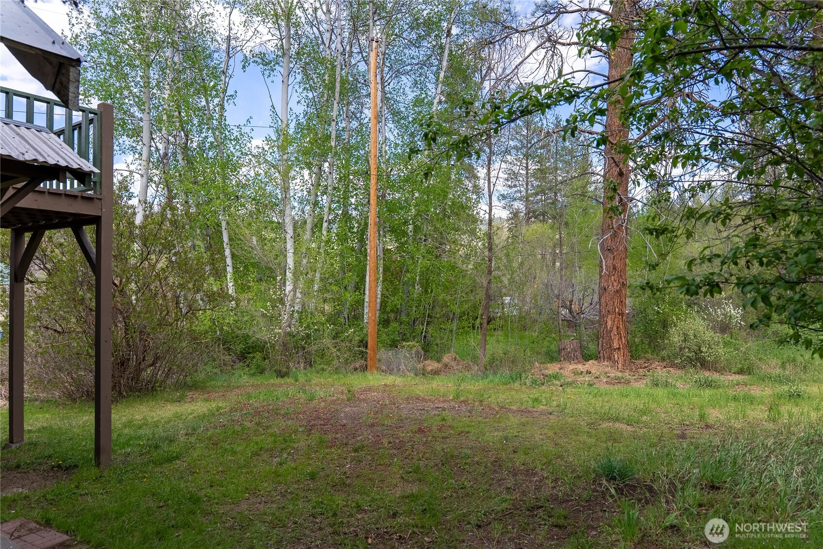 146 East Chewuch Road Winthrop, WA 98862 - Photo 6 of 39 a view of outdoor space and green space