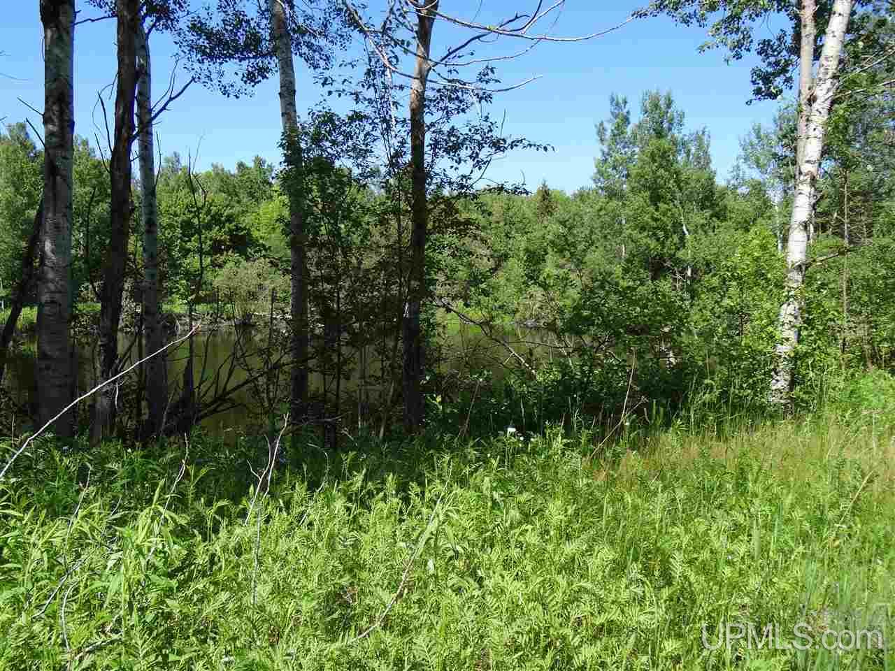 Tbd Walstrom Road Atlantic Mine, MI 49905 - Photo 19 of 23 Gallery Image 19