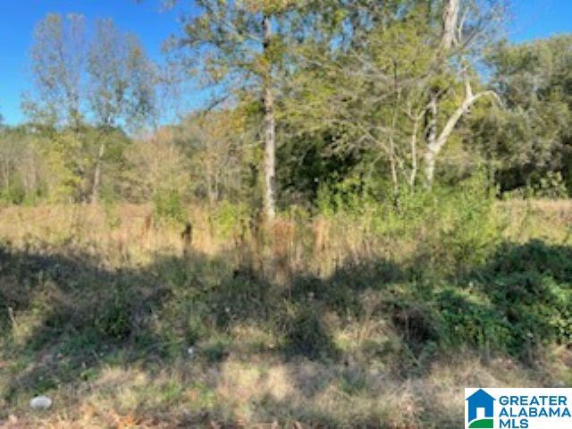 30 Bannerman Road Southwest, Unit LOTS 7 & Bessemer, AL 35022 - Photo 2 of 6