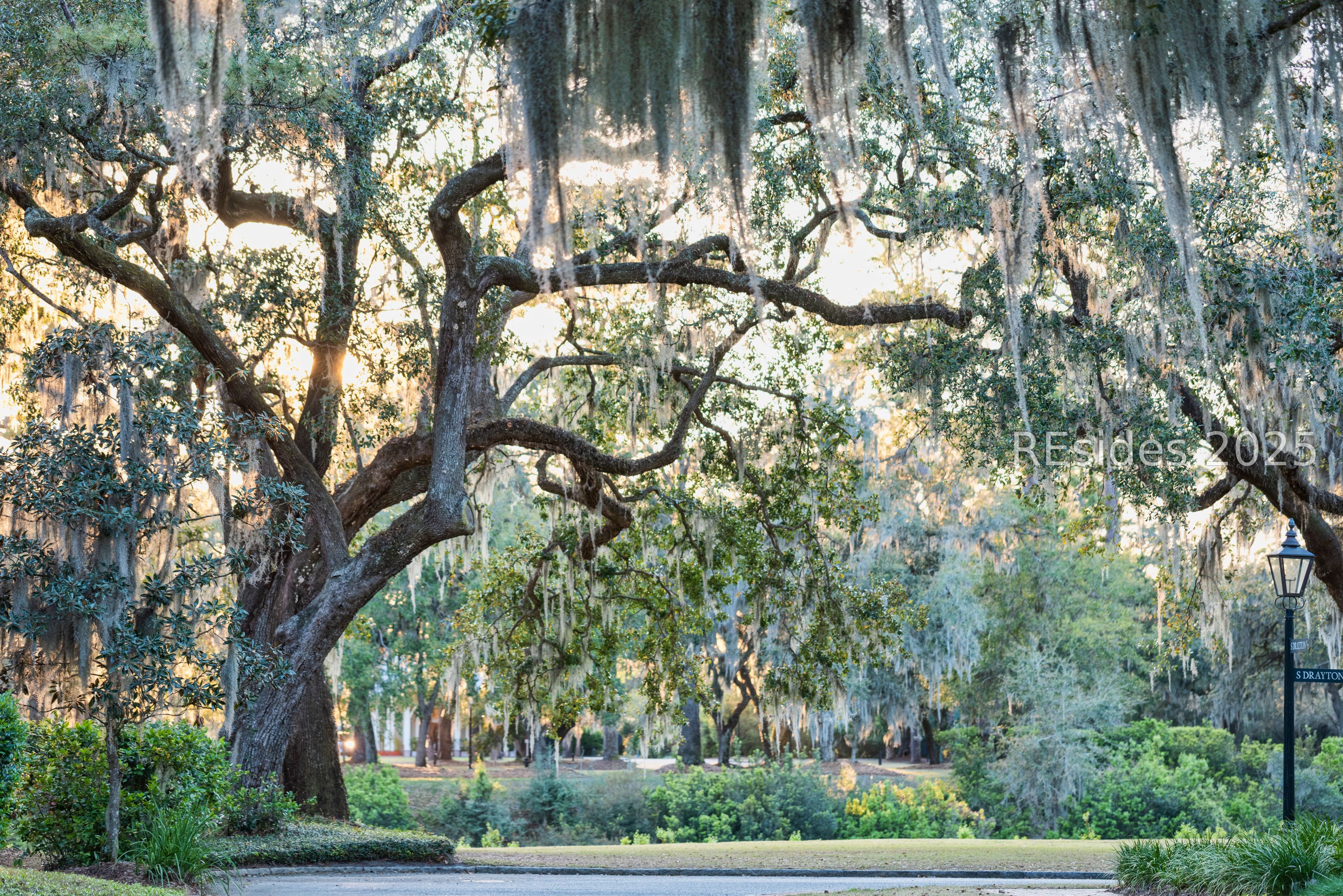 58 Marsh Rabbit Street Bluffton, SC 29910 - Photo 87 of 94