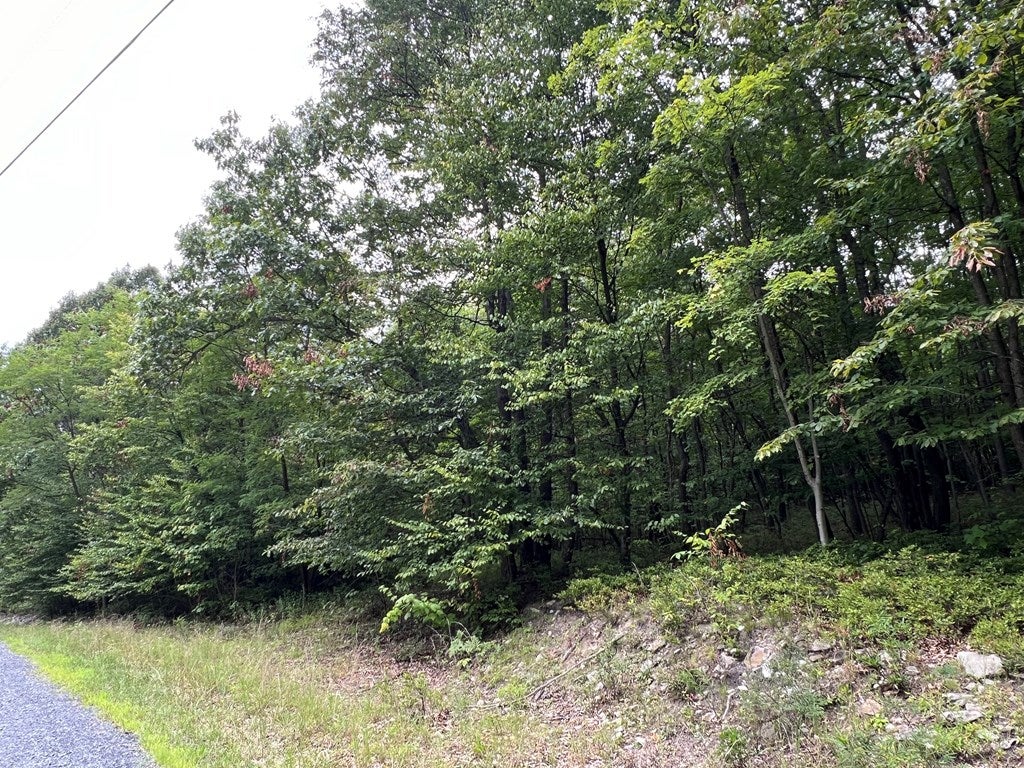 0 Sand Rock Road Huntingdon, PA 16652 - Photo 8 of 19 Gallery Image 8