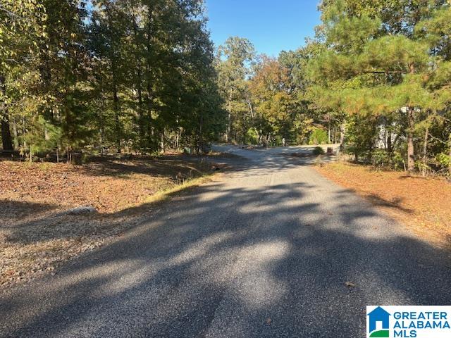 Dogwood Ridge, Unit 56 Wedowee, AL 36278 - Photo 2 of 6