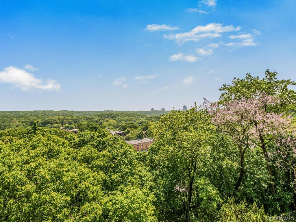 5500 Fieldston Road Bronx, NY 10471 - Photo 10 of 15