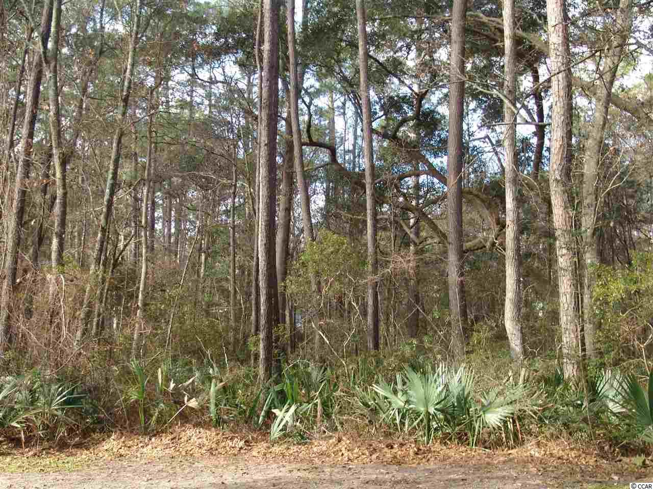 391 Old Carriage Loop Georgetown, SC 29440 - Photo 1 of 25 Gallery Image 1