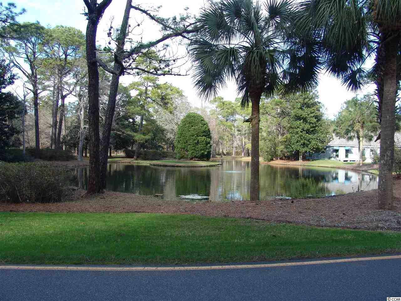 391 Old Carriage Loop Georgetown, SC 29440 - Photo 3 of 25 Gallery Image 3