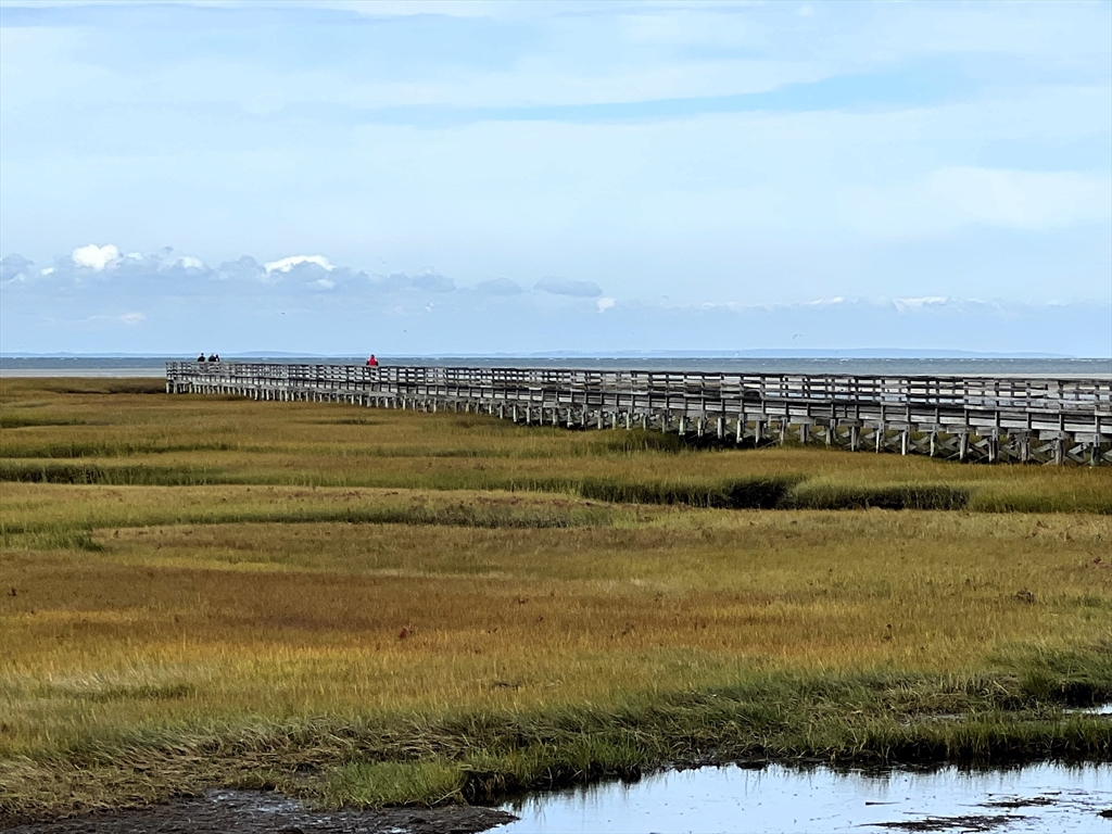 194 Rte 6a Yarmouth, MA 02675 - Photo 36 of 36