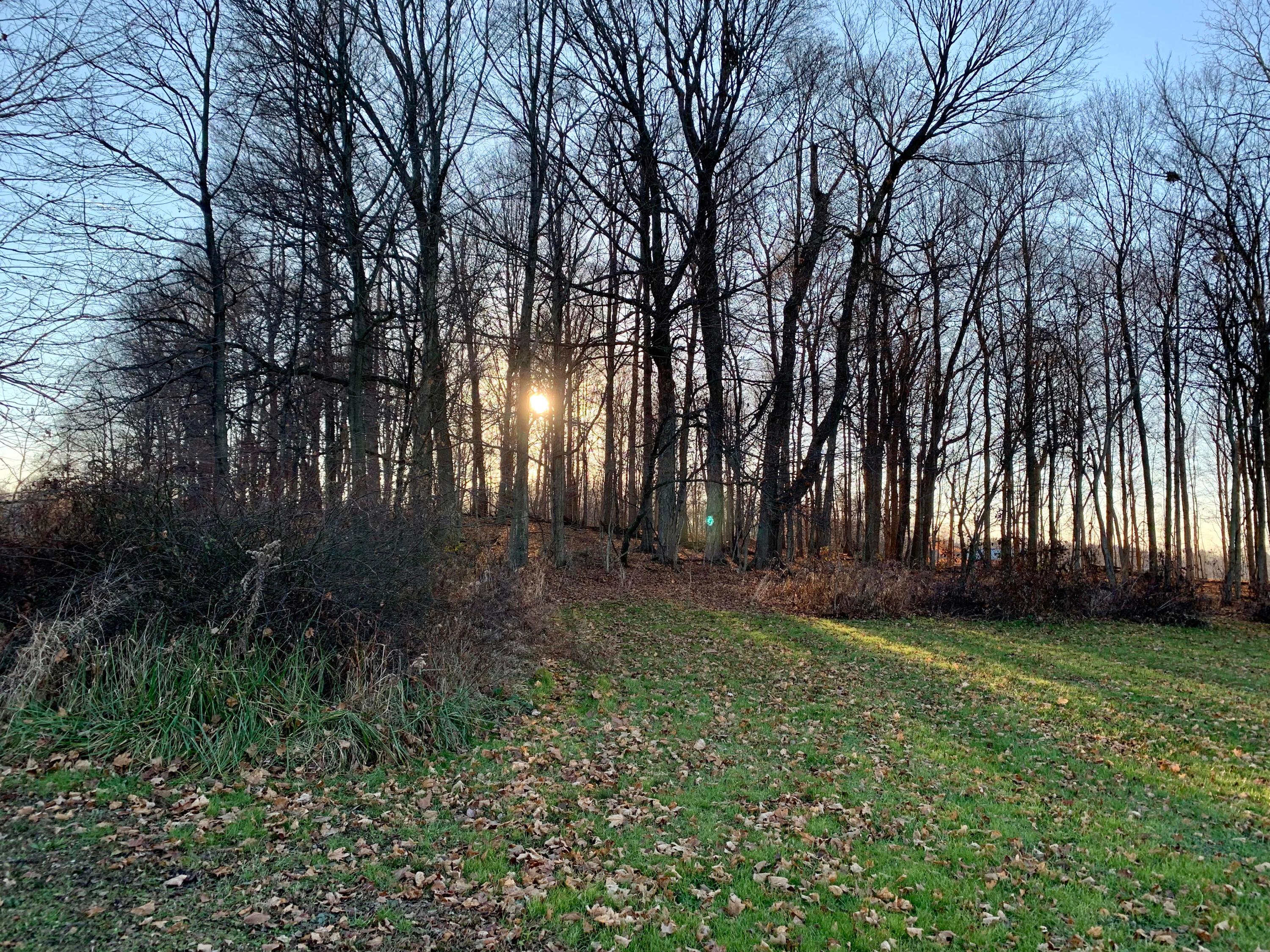 Build your new home on top of the hill!