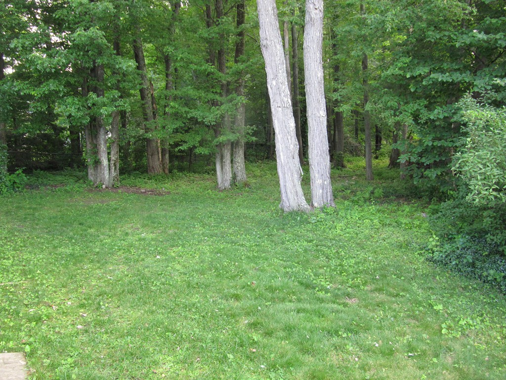 23 Spring Valley Road Worcester, MA 01609 - Photo 6 of 30 Gallery Image 6