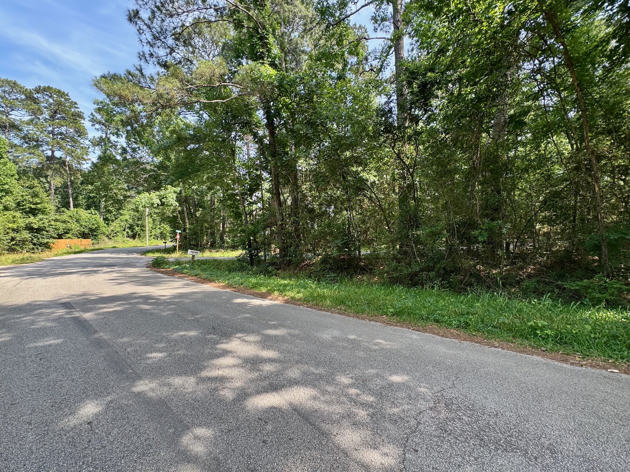 Tbd Crockett Road Willis, TX 77378 - Photo 13 of 13 a view of road with large trees