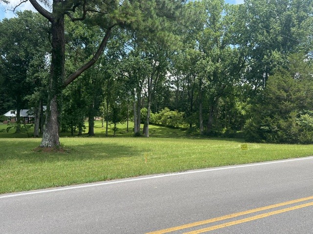 0 Powers Road Manchester, TN 37355 - Photo 2 of 3