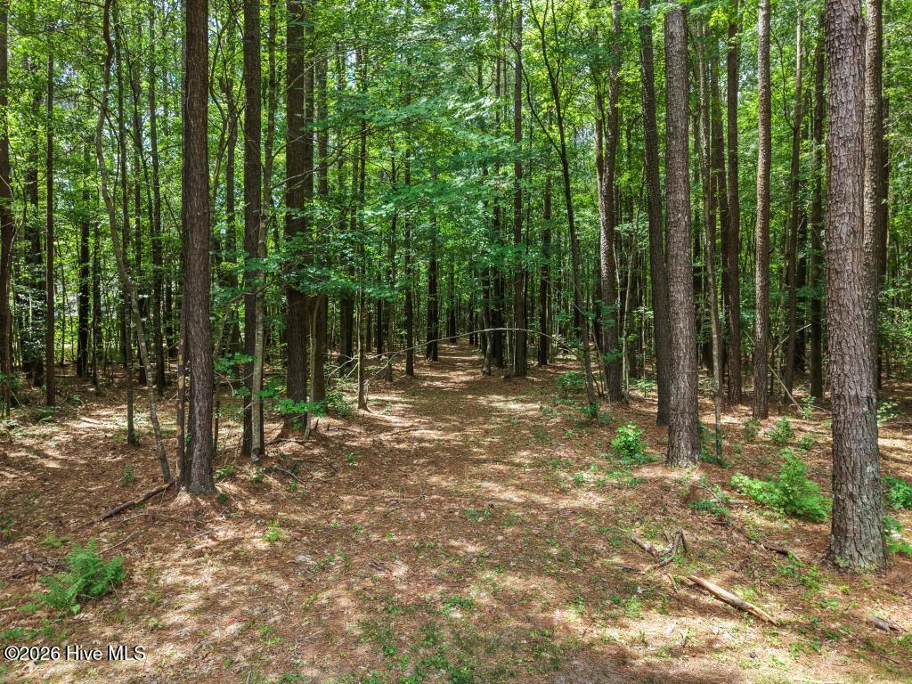 258 Guinea Mill Road Moyock, NC 27958 - Photo 51 of 54 Path into the woods, finish clearing to the water!